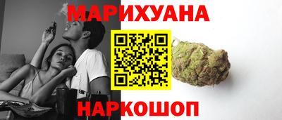 прущие крисы Бийск